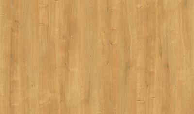 Cover image for COMPACTLAM 