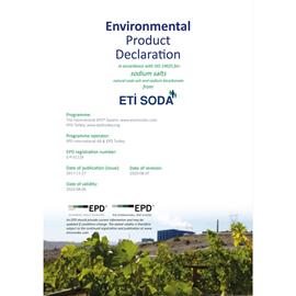 Cover image for Sodium salts - Sodium Carbonate and Sodium Bicarbonate