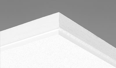 Cover image for Ecophon Master E