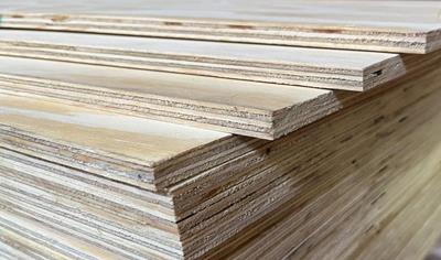 Cover image for Construction Plywood Special from pine