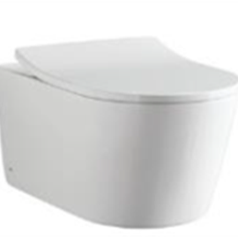 Cover image for Wall-hung Toilet