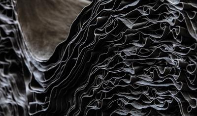 Cover image for Dinamica® Auto Line