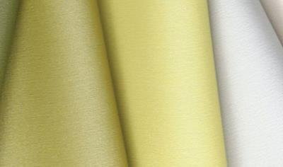 Cover image for Spradling® Coated Fabrics - Family 2