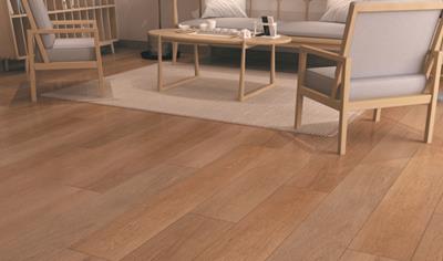 Cover image for SPC(Stone Plastic Composite) 