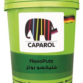 Cover image for FlexoPutz