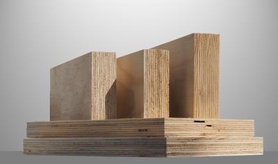 Cover image for TEBOLVL