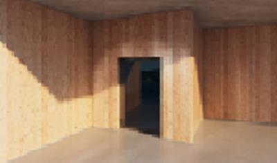 Cover image for fuego light doors