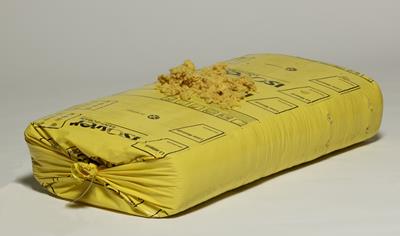 Cover image for Insuver