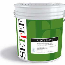 Cover image for X-DRY Paint