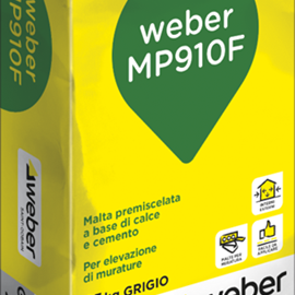 Cover image for Weber MP910F