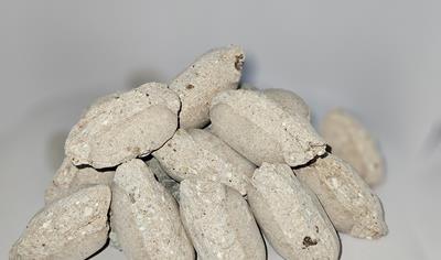 Cover image for Briquette