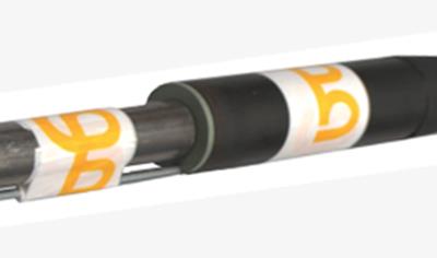 Cover image for Thorbolt