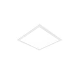 Cover image for Bloom