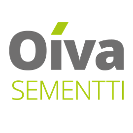 Cover image for Finnsementti Parainen Oiva