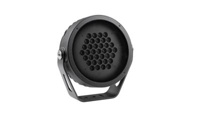 Cover image for Anolis Calumma™ M SC