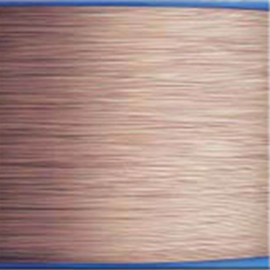 Cover image for Bead Wire