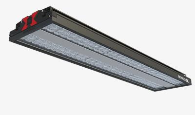 Cover image for Revoled-X