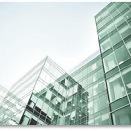 Cover image for SGG PARSOL® 8 mm