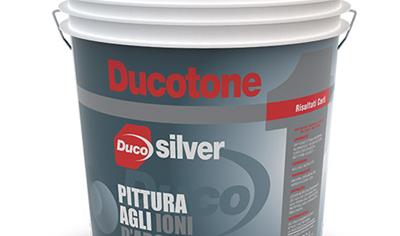 Cover image for Ducotone Silver