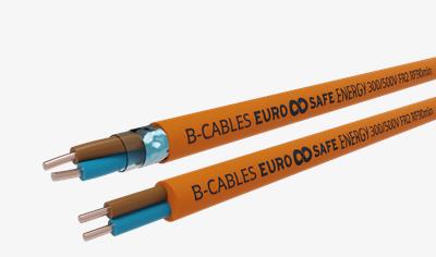 Cover image for EUROSAFE ENERGY