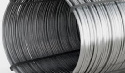 Cover image for Wire Rod