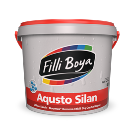 Cover image for Filli Boya Aqusto Silan
