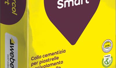 Cover image for Webercol smart grigio