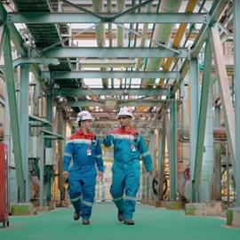 Cover image for Natural Gas