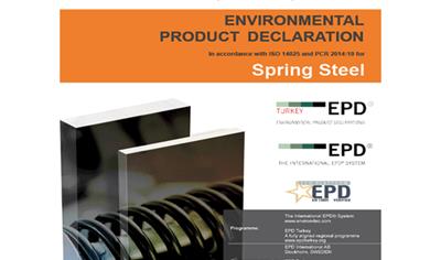 Cover image for Spring Steel