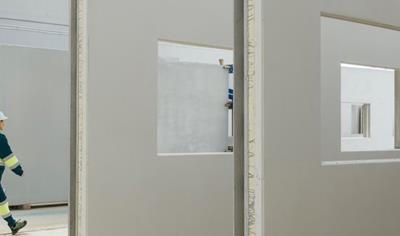 Cover image for Panels and walls