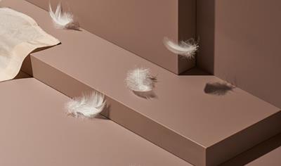 Cover image for FENIX® 0.9 mm (standard core)