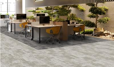 Cover image for arctic carpet tiles & planks