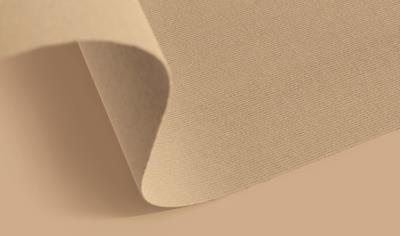 Cover image for Rewind Rib