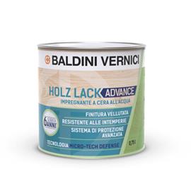 Cover image for Holz Lack Advance