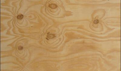 Cover image for SUDPLY ANTIFUNGAL 