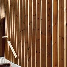 Cover image for Thermopine® Cladding