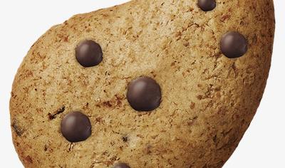 Cover image for Pavesi Gocciole Wild biscuits