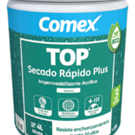 Cover image for PPG Comex TOP Quick Dry Plus 3 years