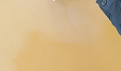 Cover image for Patina Living