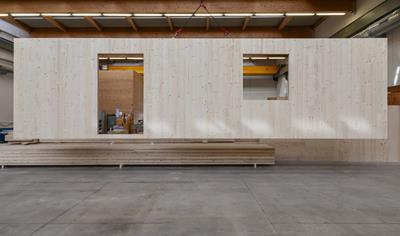 Cover image for CLT/Xlam panel