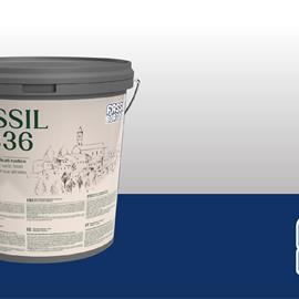 Cover image for FASSIL R 336