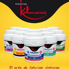 Cover image for PLASTIC PAINTS AND COATINGS