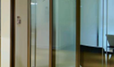 Cover image for Elite Aero Pocket Sliding Door