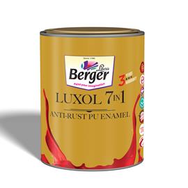 Cover image for Berger Paints (Solvent-Based)