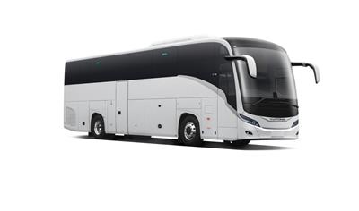 Cover image for T12 coach