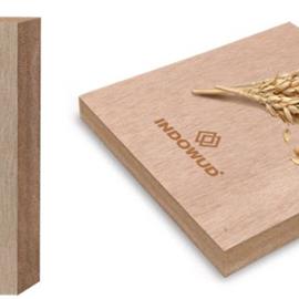 Cover image for Indowud’s NFC Board 