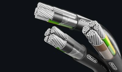 Cover image for PVC/PVC aluminium energy cables 1-AYKY of rated voltage 0,6/1kV with lapped inner covering