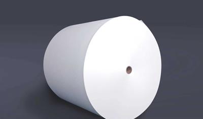 Cover image for Needlepunched spunbond polyester nonwovens from recycled polyester