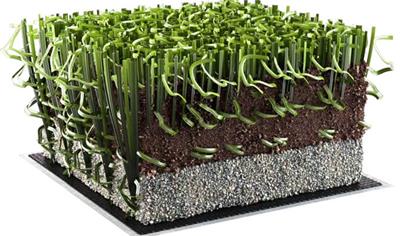 Cover image for Synthetic turf - ALL STAR ECOGREEN GC / 62 DOUBLE X PLUS ECOGREEN GC 