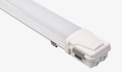 Cover image for Toronto